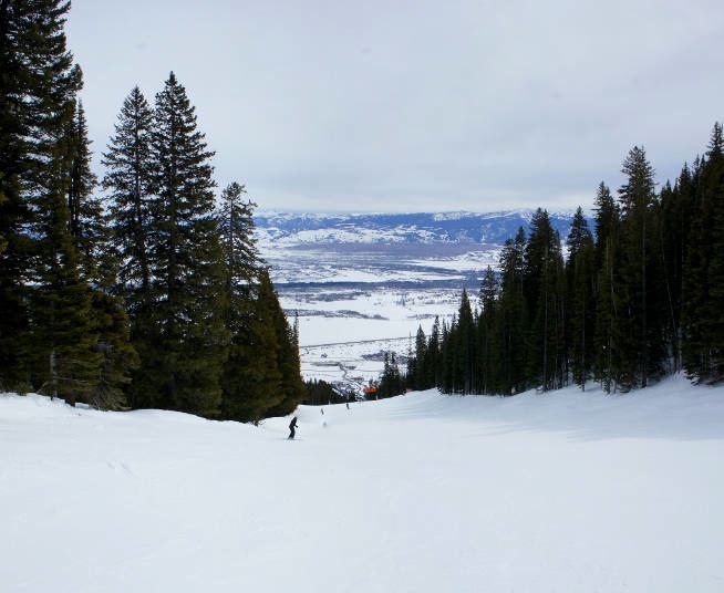 Green trail